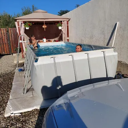 Casa Cristina Guest house Cartisoara