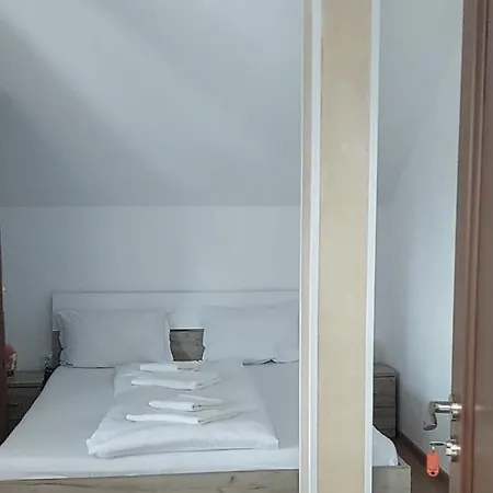 Casa Cristina Guest house Cartisoara