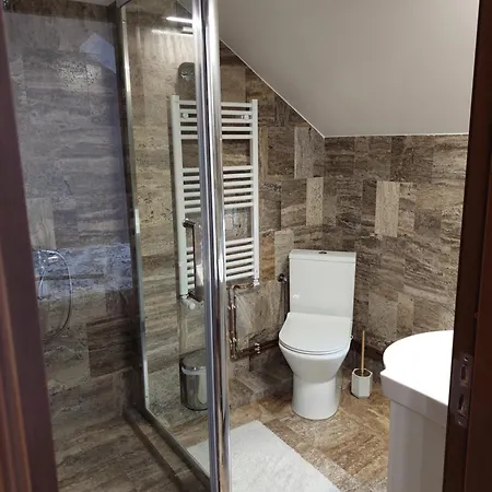 Casa Cristina Guest house Cartisoara